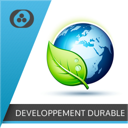 DALLES DEVDURABLE